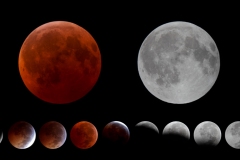 dec-21-2010-lunar-eclipse-collage